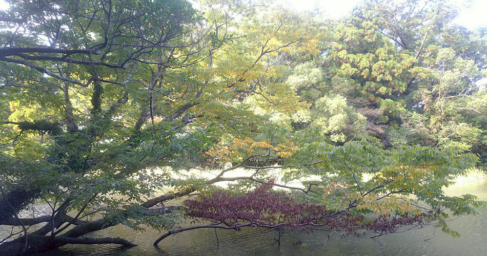 内山産業株式会社