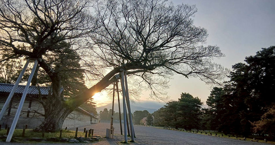 内山産業株式会社